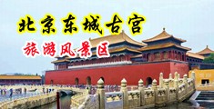 欧洲美女操B中国北京-东城古宫旅游风景区
