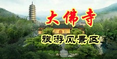 鸡巴操视频社区在线,大鸡巴操高清观看视频中国浙江-新昌大佛寺旅游风景区